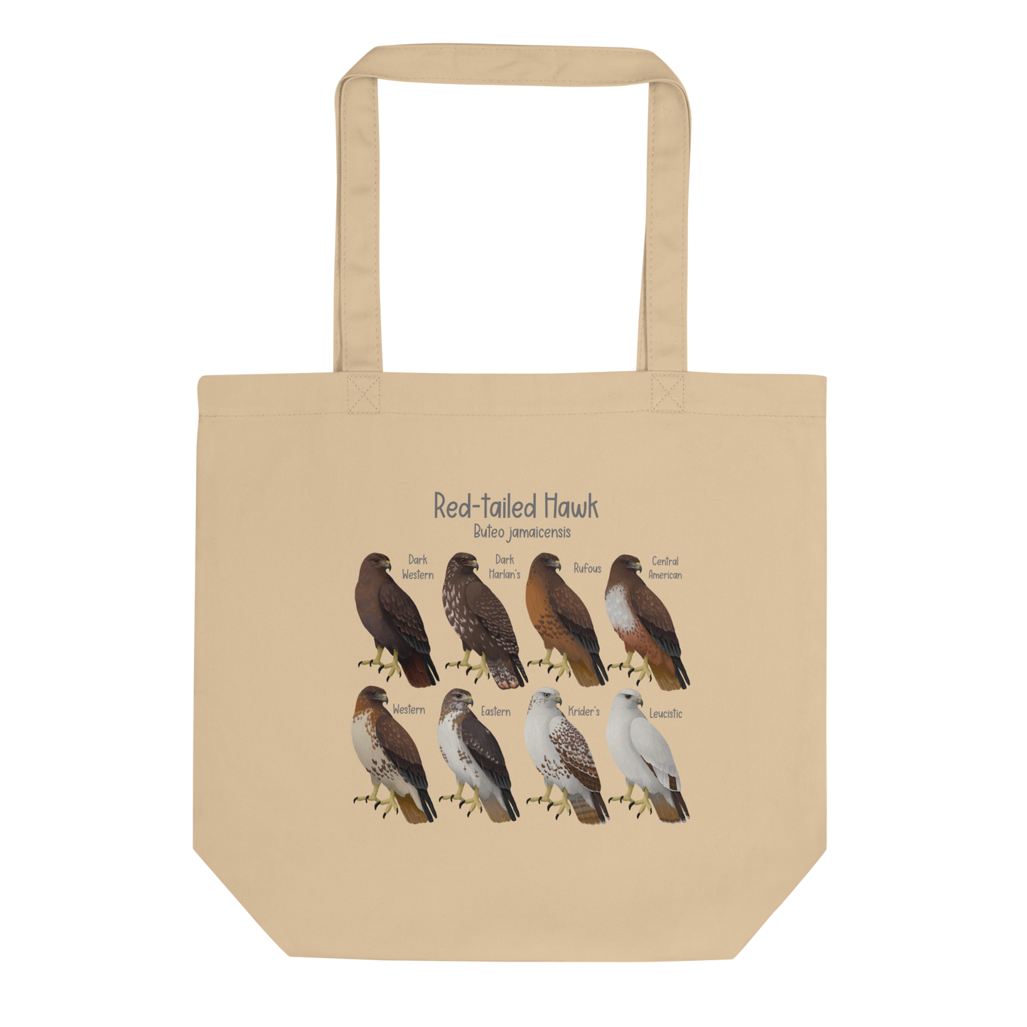 (Old Version) Red-tailed Hawk Morphs Tote Bag