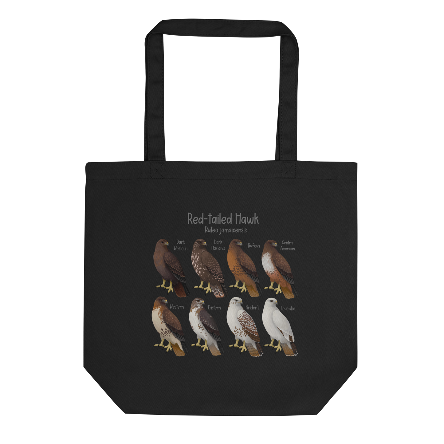 Red-tailed Hawk Morphs Tote Bag