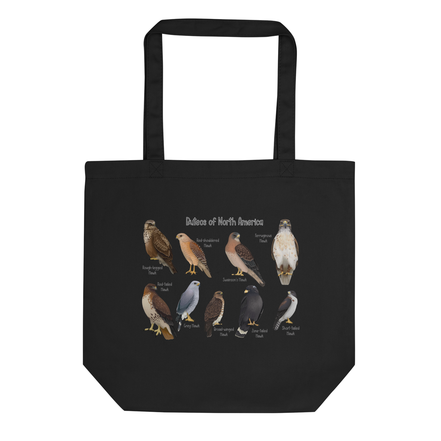 Buteos of North America Tote Bag