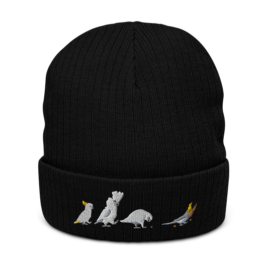 Follow the Millet Knit Beanie