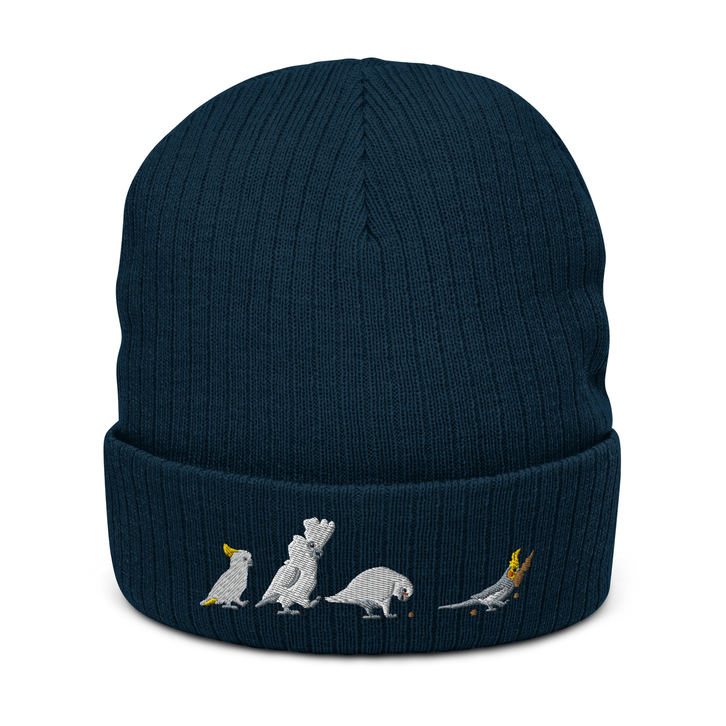 Follow the Millet Knit Beanie