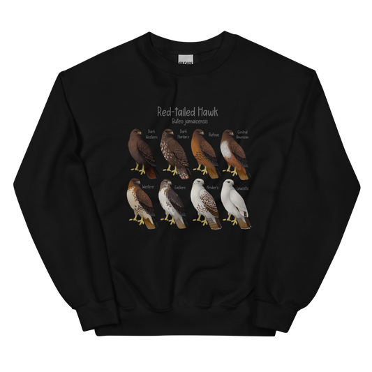 Red-tailed Hawk Morphs Sweater