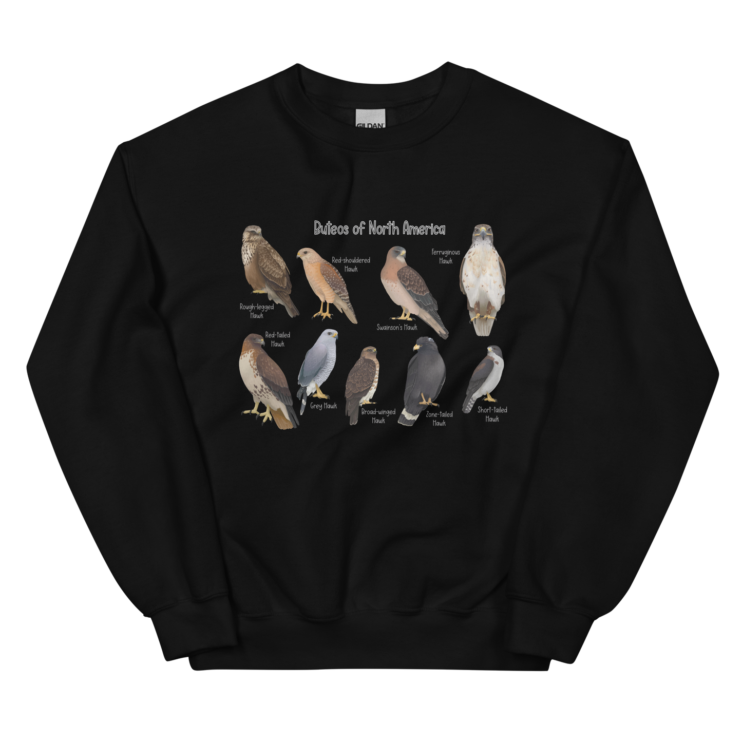 Buteos of North America Sweatshirt