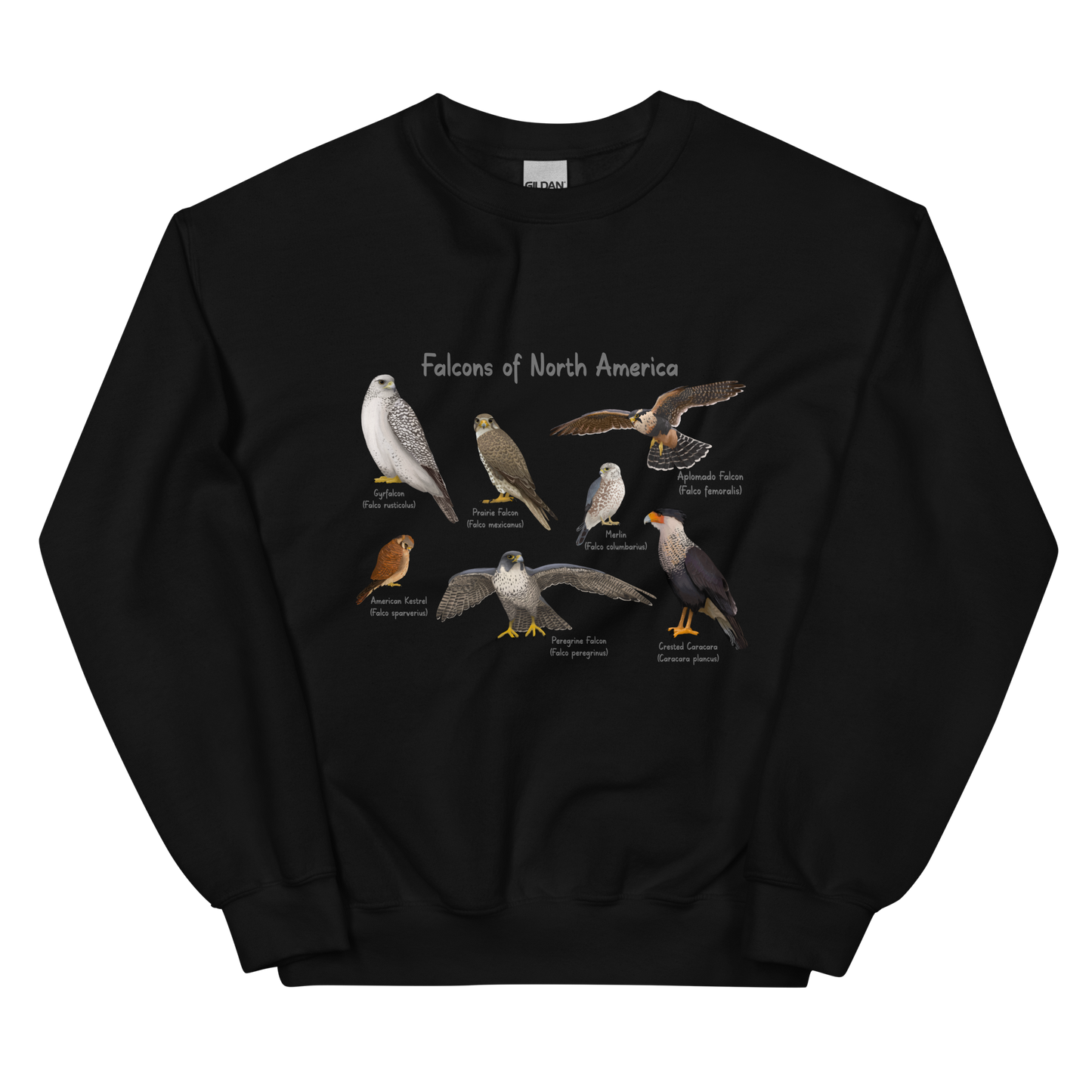 Falcons of North America Sweatshirt