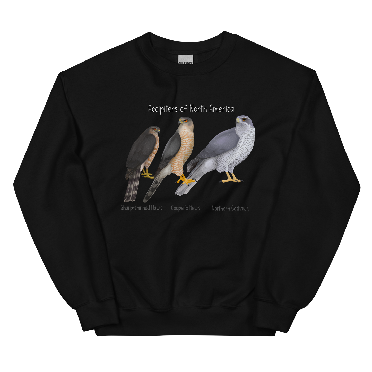 Accipiters of North America Sweater