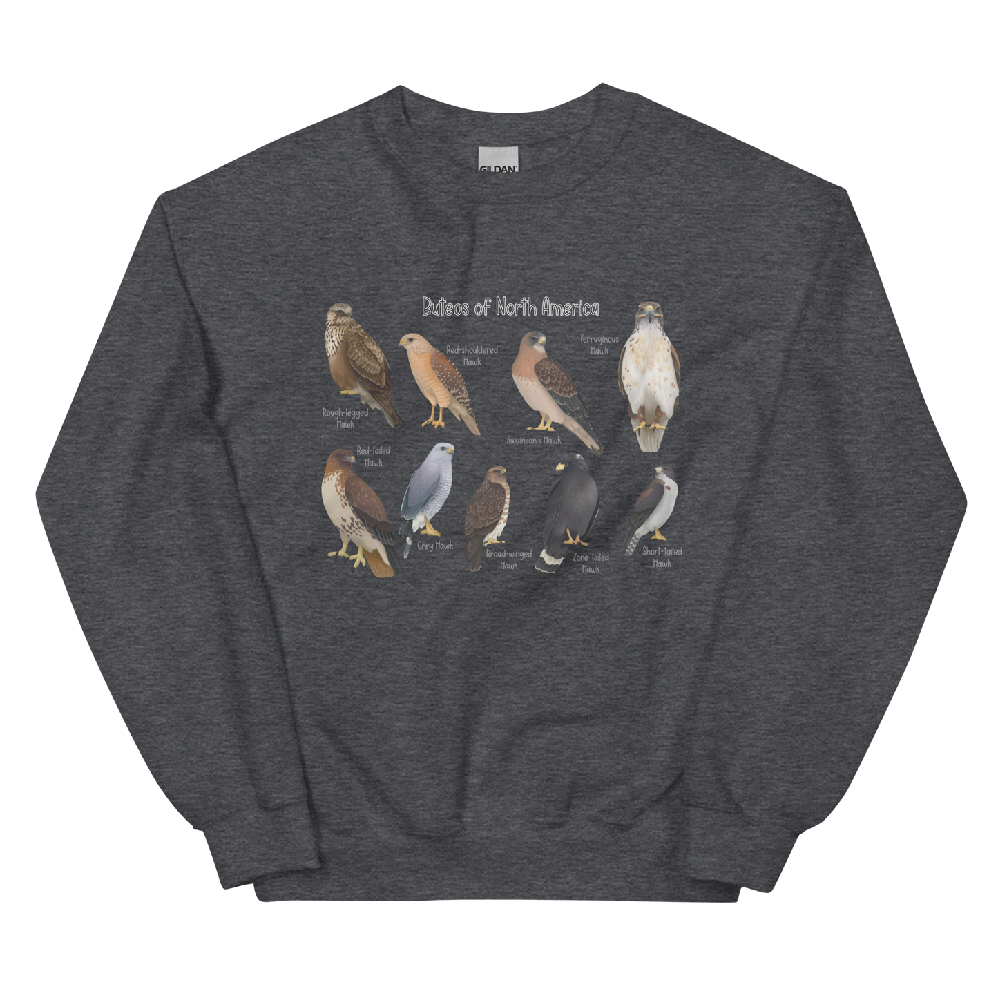 Buteos of North America Sweatshirt