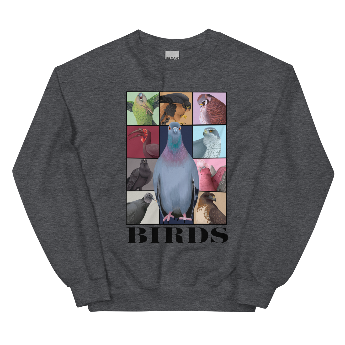 Birds Eras Tour Sweatshirt