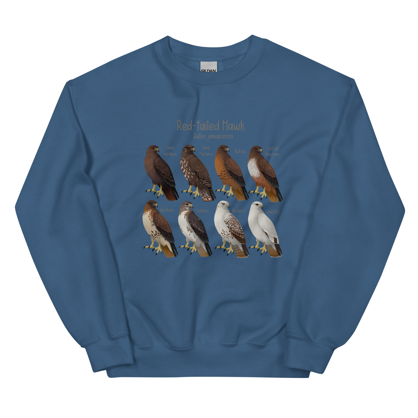 Red-tailed Hawk Morphs Sweater