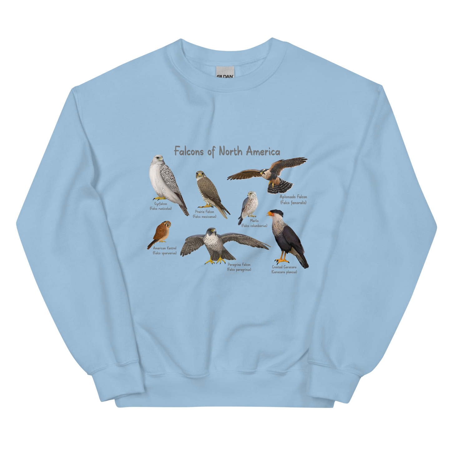 Falcons of North America Sweatshirt