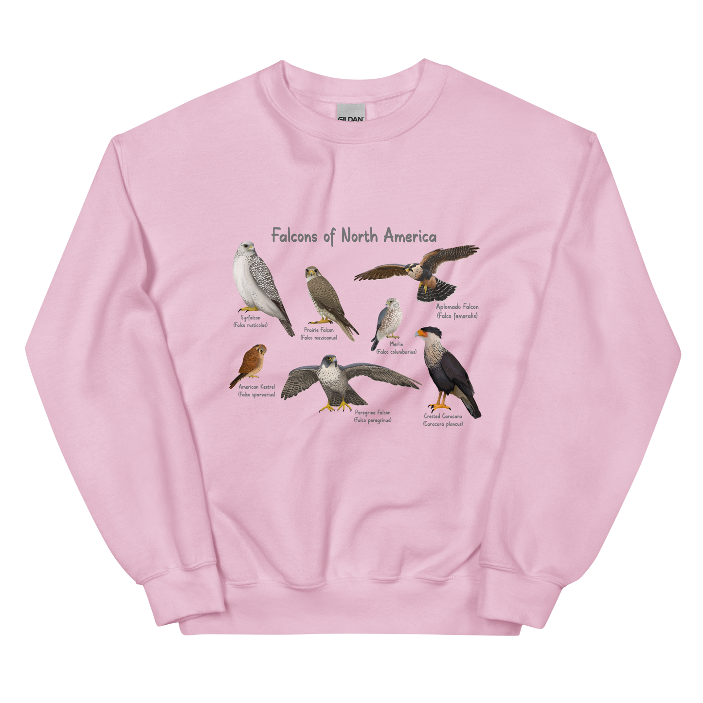 Falcons of North America Sweatshirt