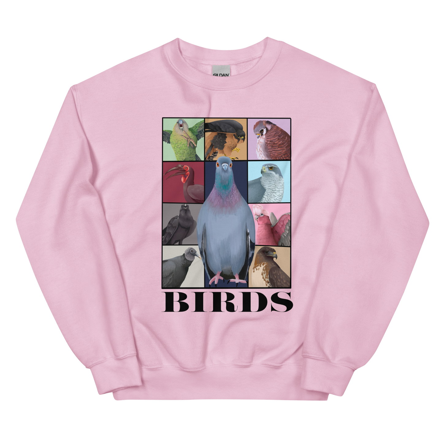 Birds Eras Tour Sweatshirt