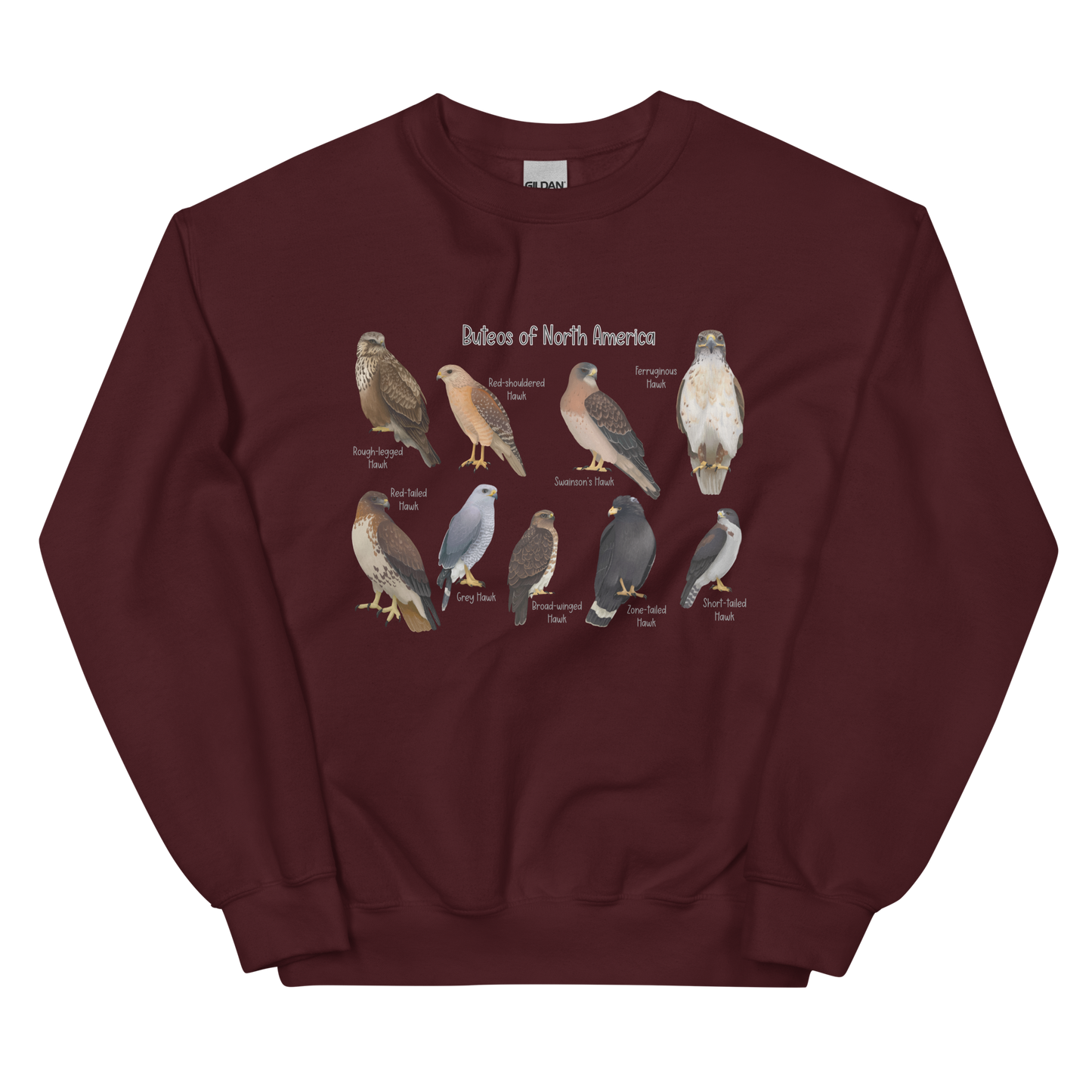 Buteos of North America Sweatshirt