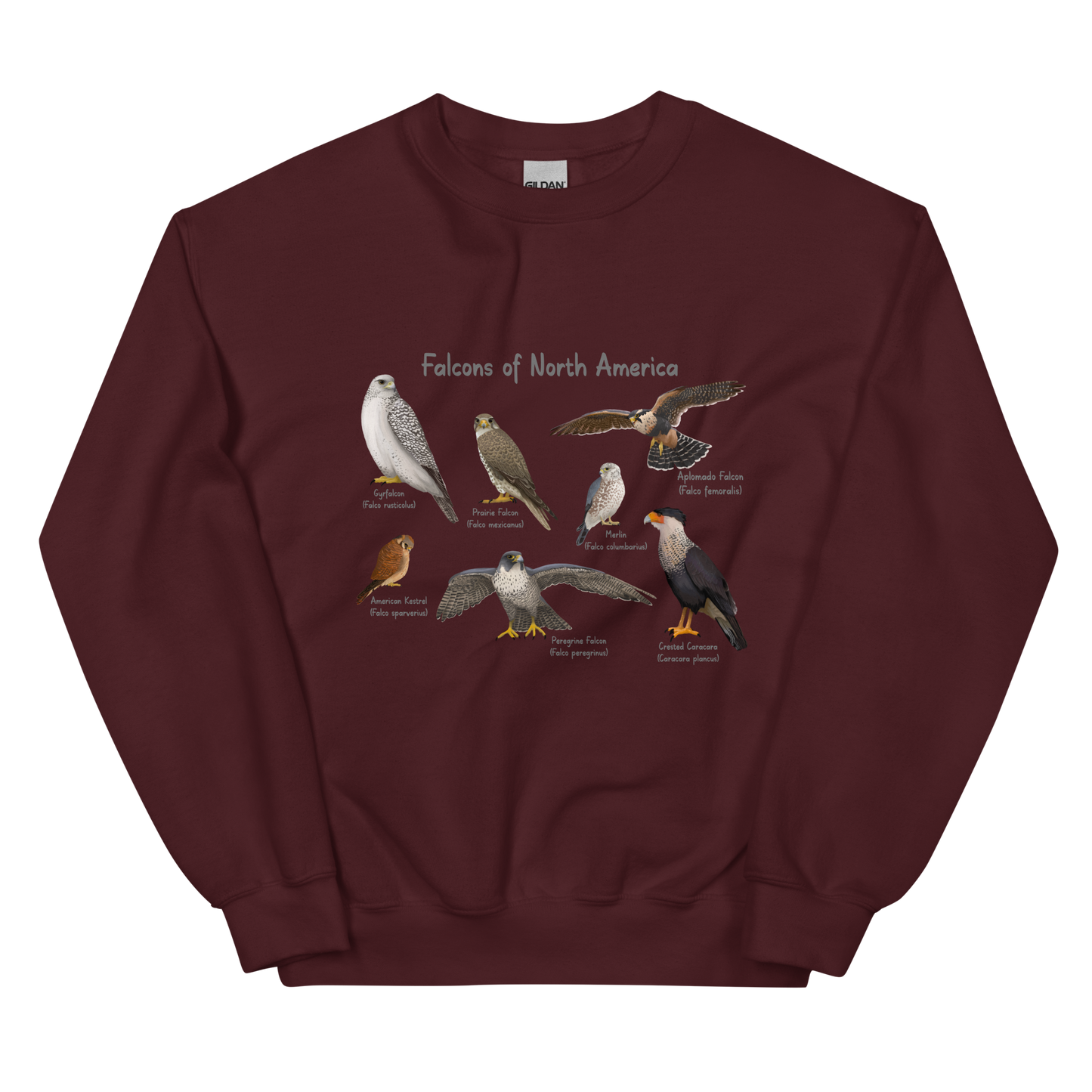 Falcons of North America Sweatshirt