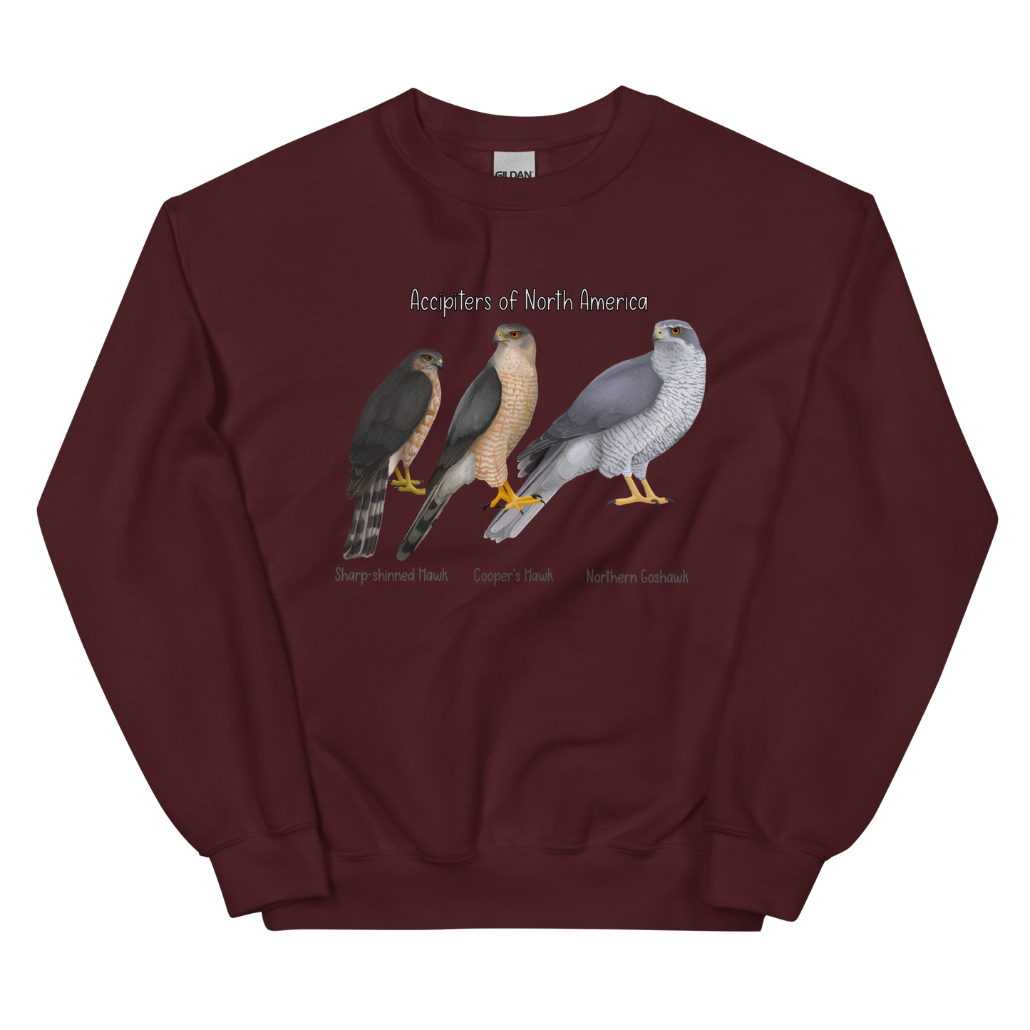 Accipiters of North America Sweater