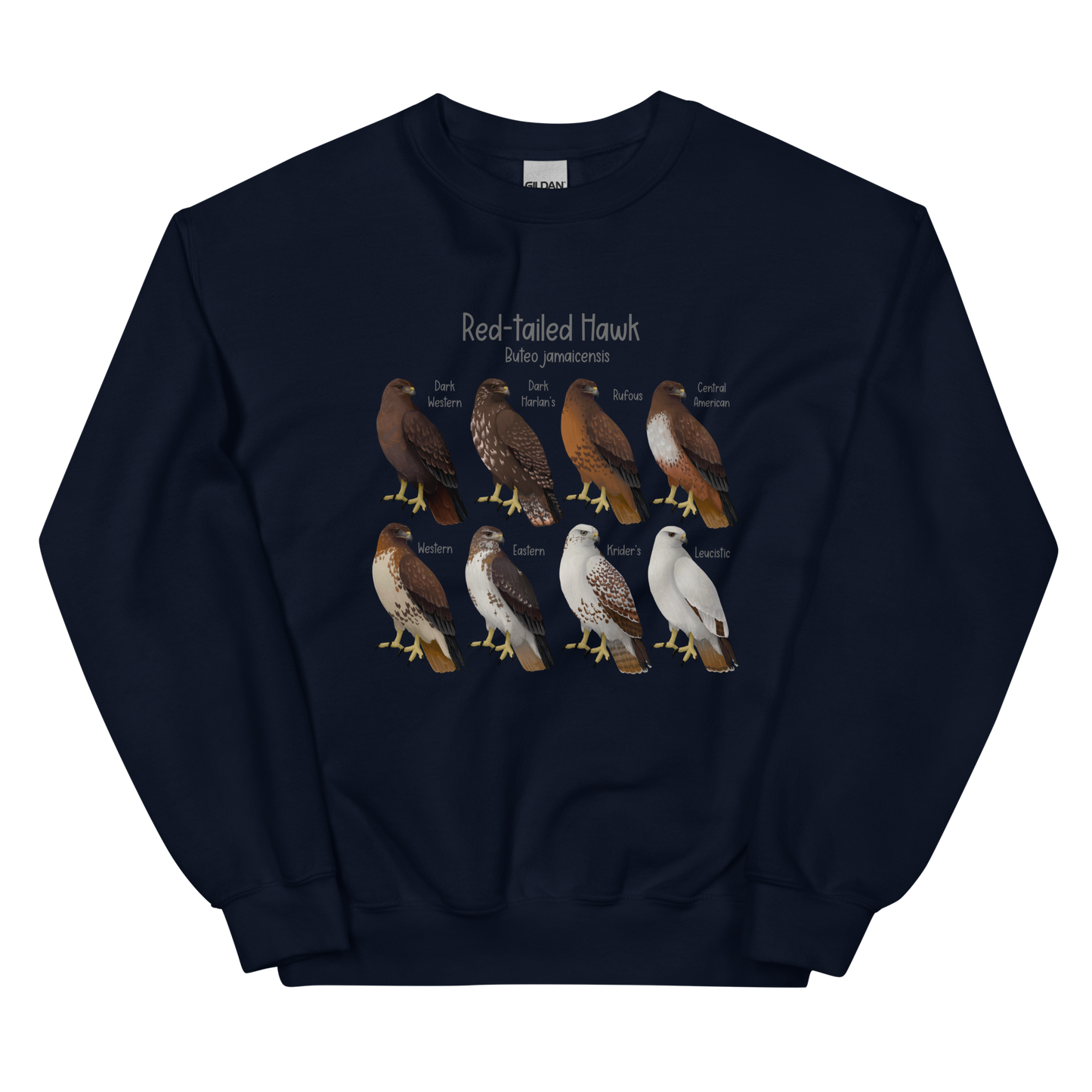 Red-tailed Hawk Morphs Sweater