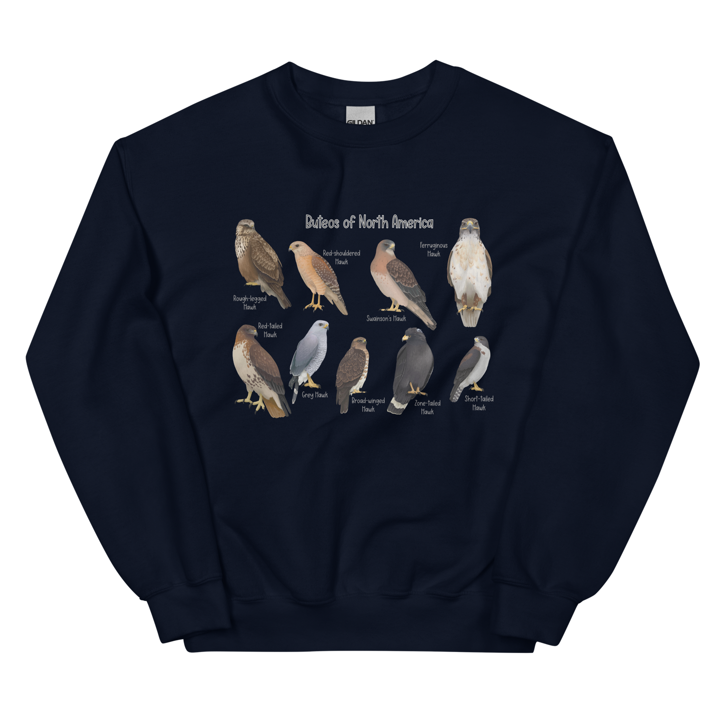 Buteos of North America Sweatshirt