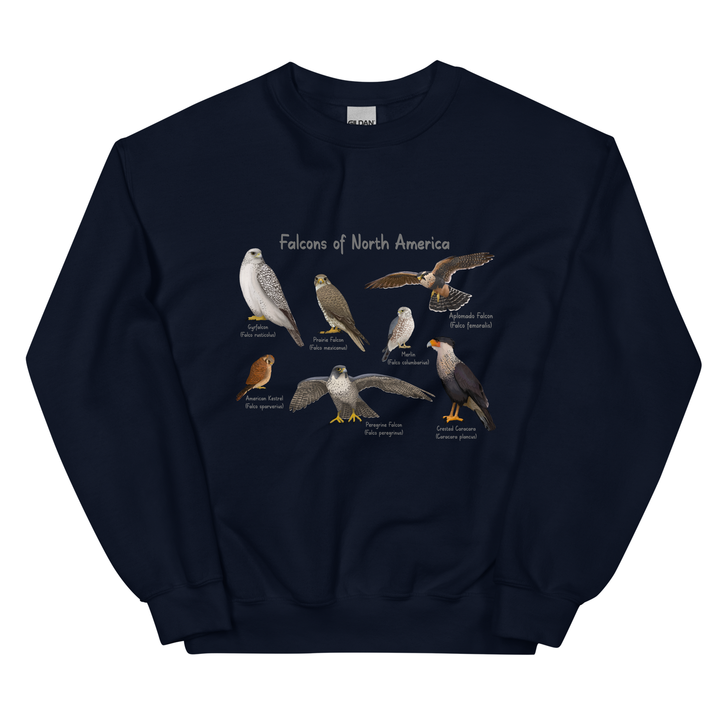 Falcons of North America Sweatshirt