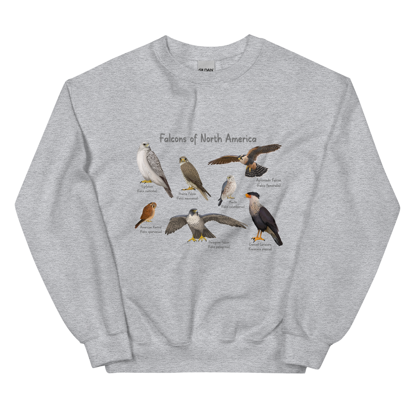 Falcons of North America Sweatshirt