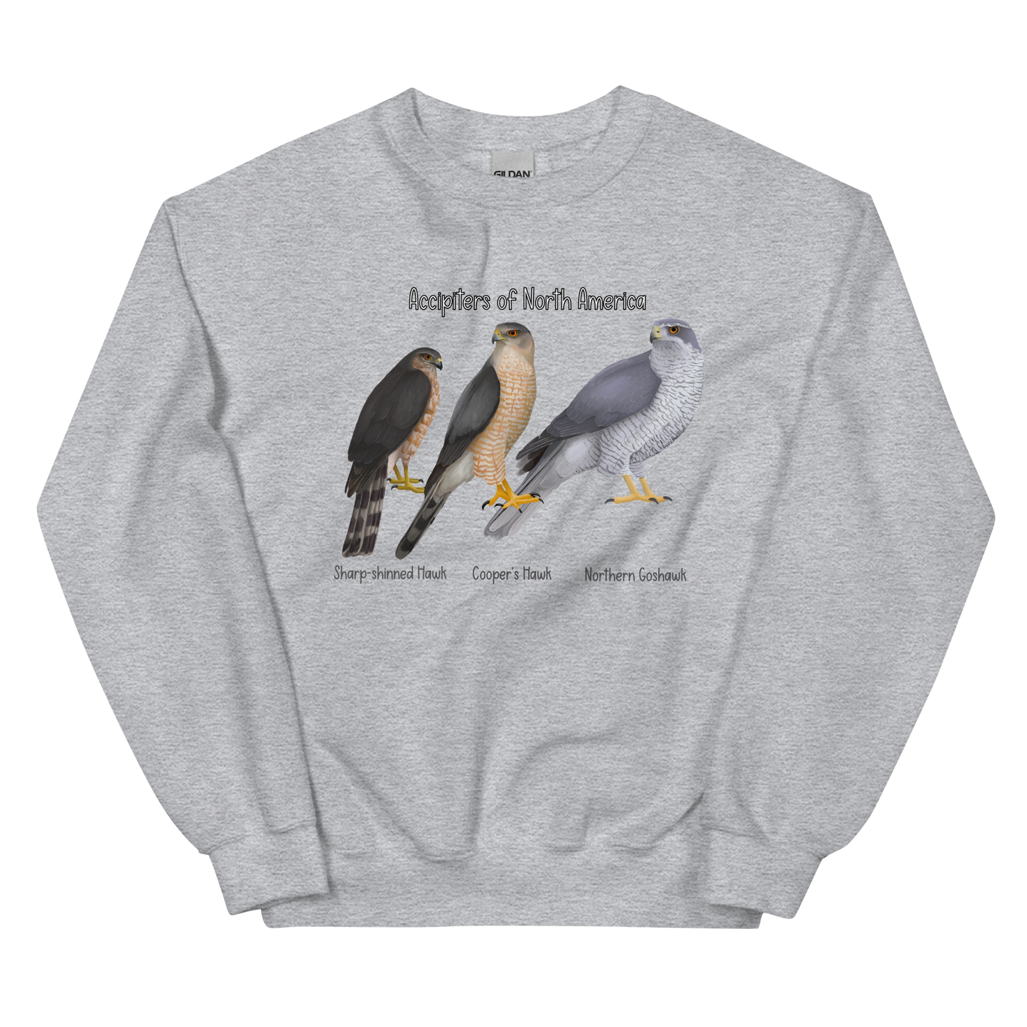 Accipiters of North America Sweater