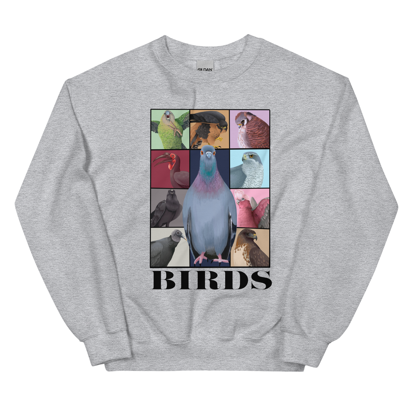 Birds Eras Tour Sweatshirt