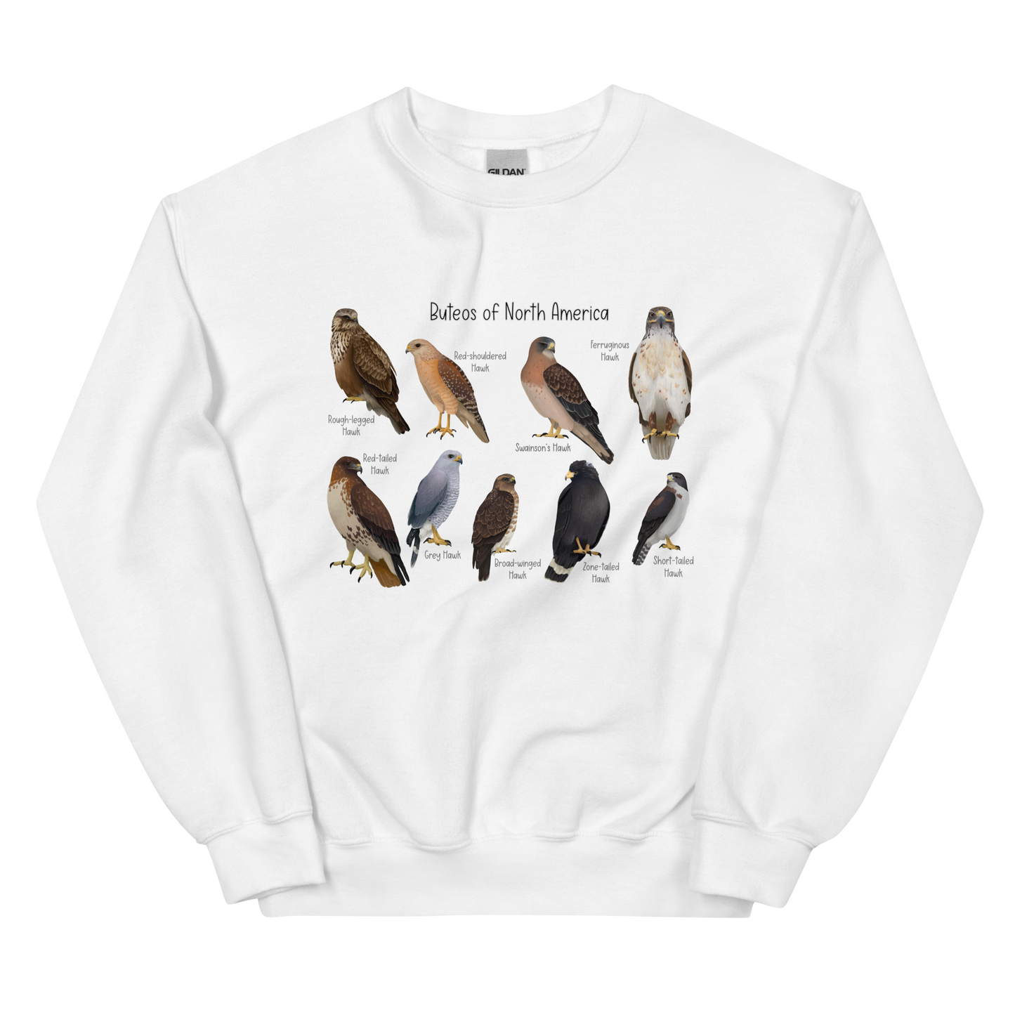 Buteos of North America Sweatshirt