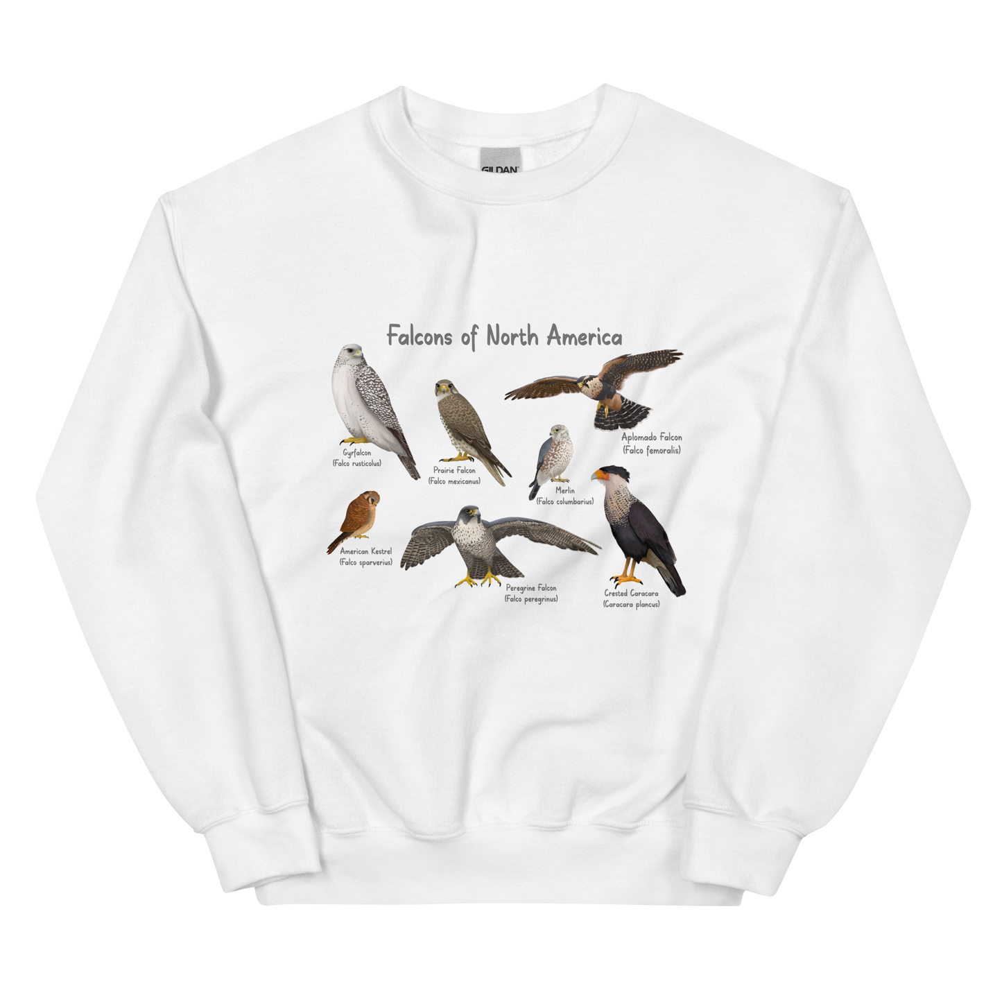 Falcons of North America Sweatshirt