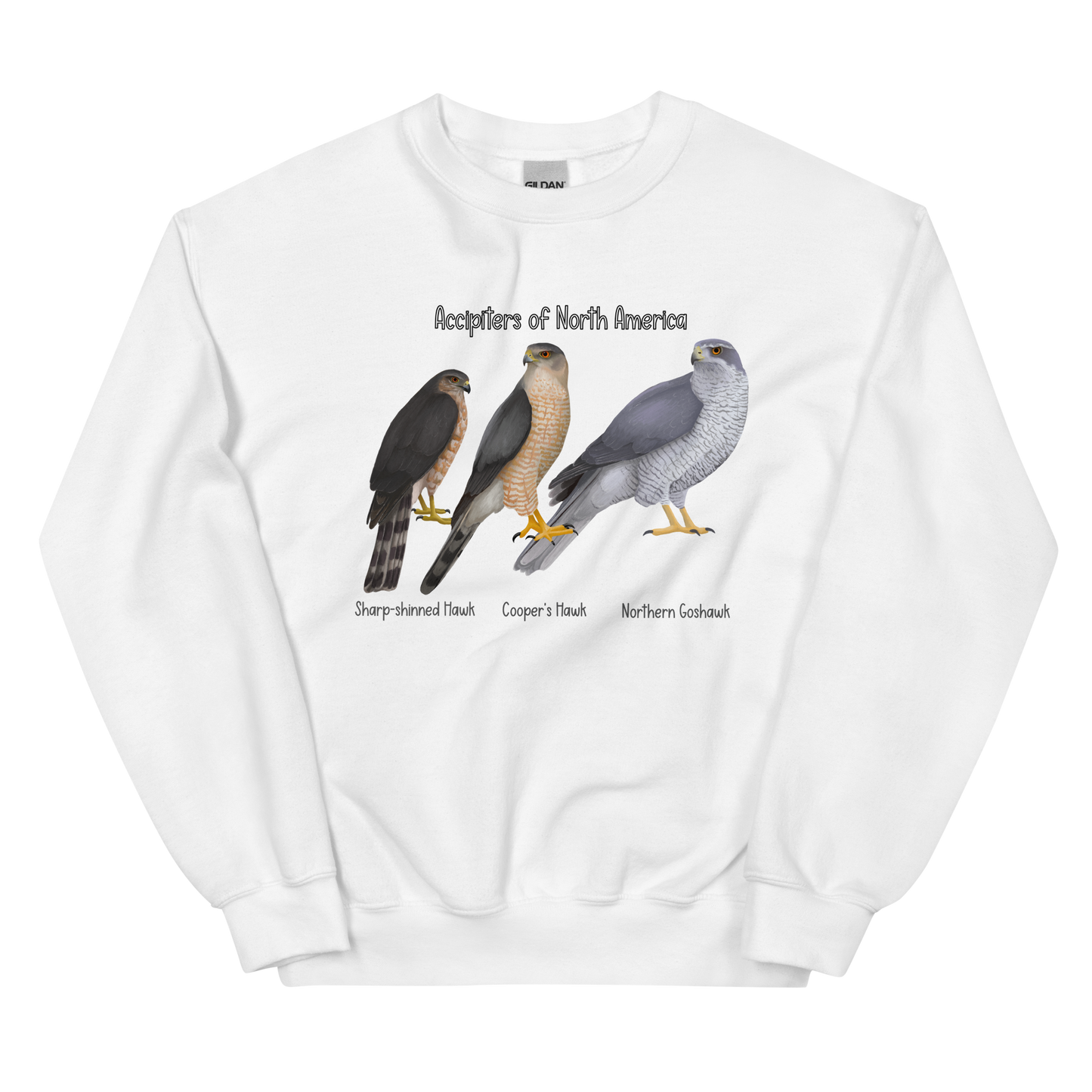 Accipiters of North America Sweater