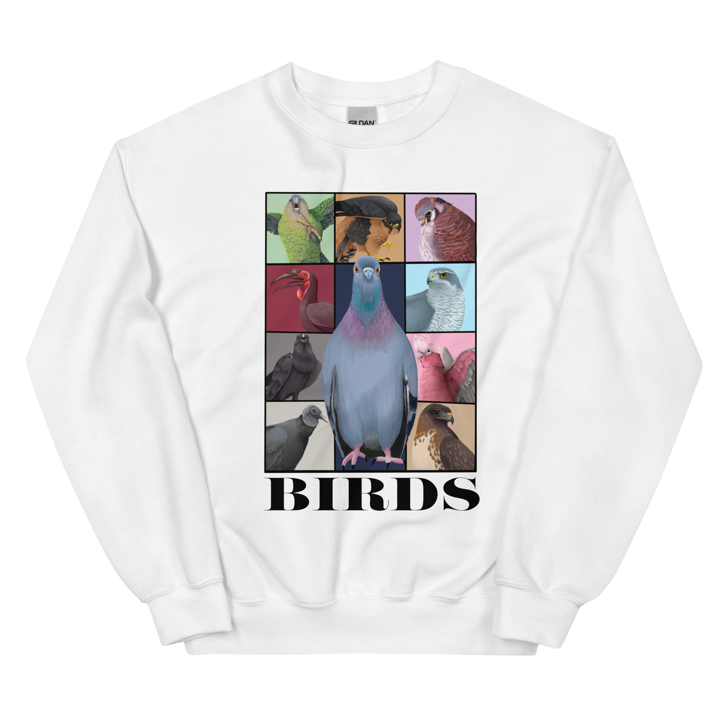 Birds Eras Tour Sweatshirt