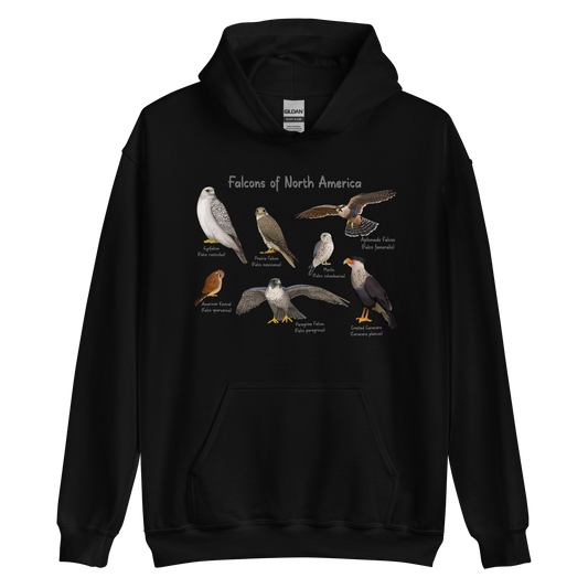 Falcons of North America Hoodie