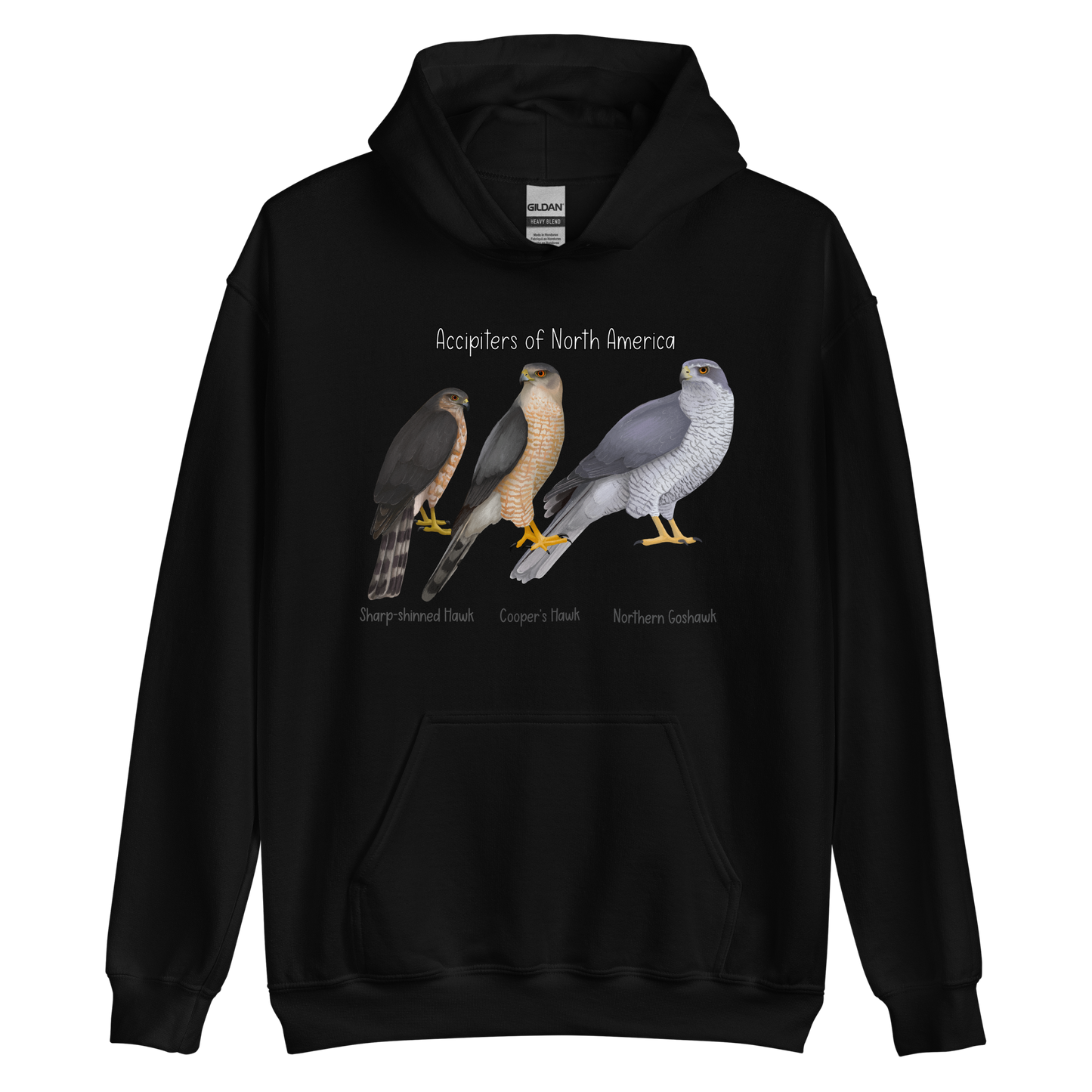 Accipiters of North America Hoodie