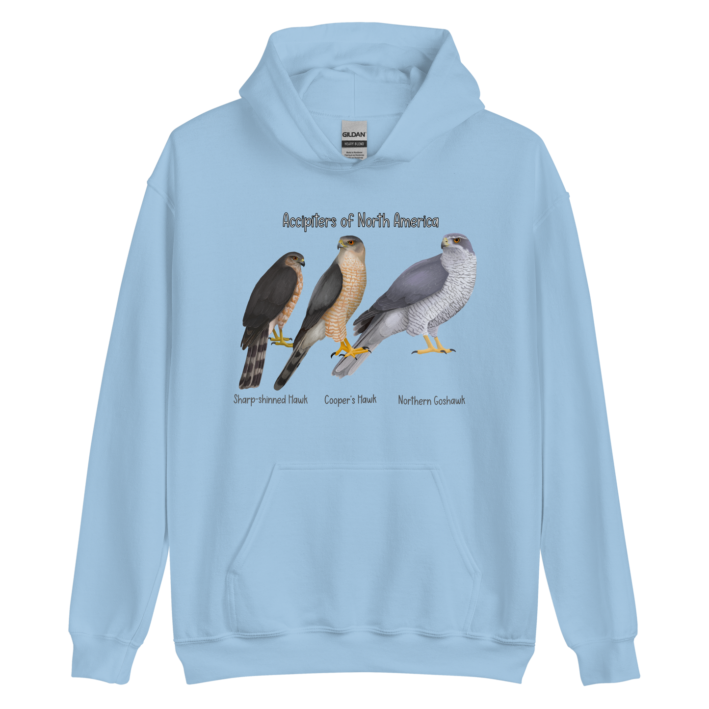 Accipiters of North America Hoodie