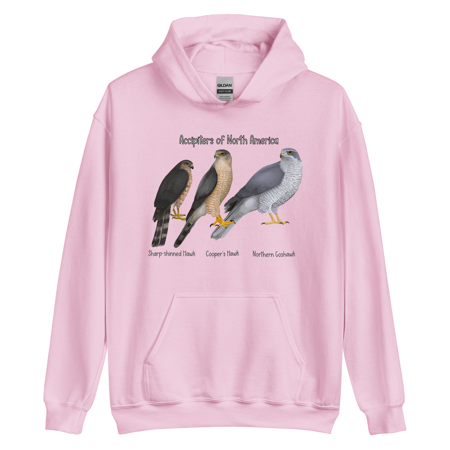 Accipiters of North America Hoodie