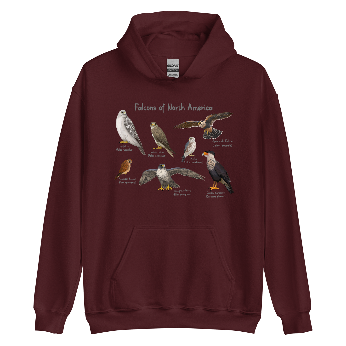 Falcons of North America Hoodie