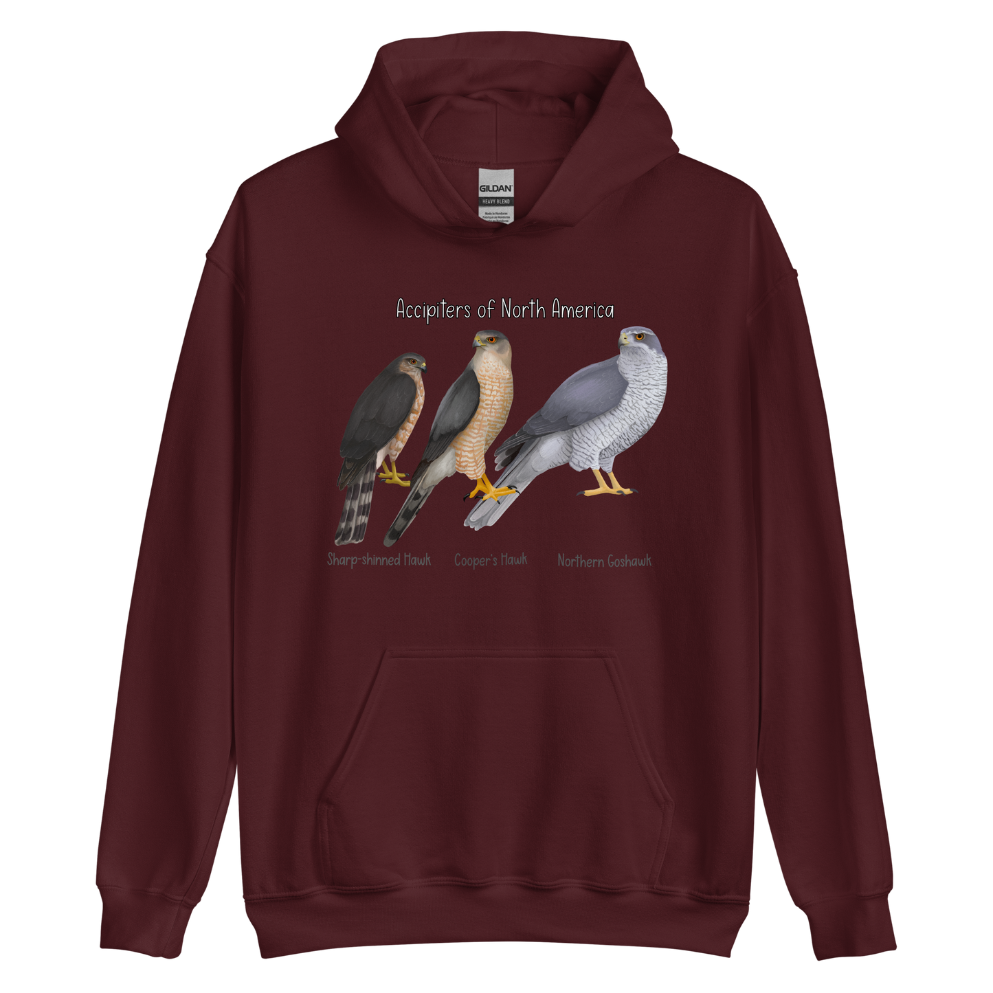 Accipiters of North America Hoodie