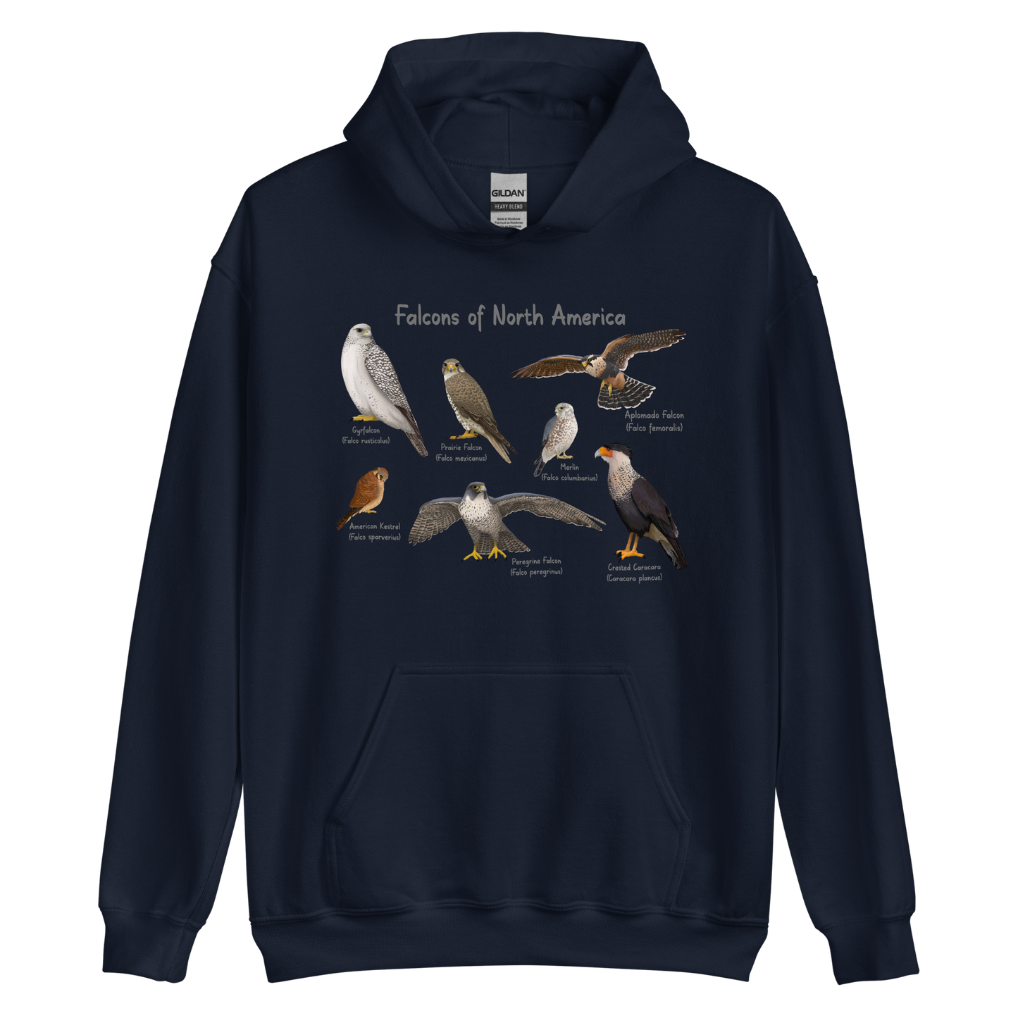 Falcons of North America Hoodie