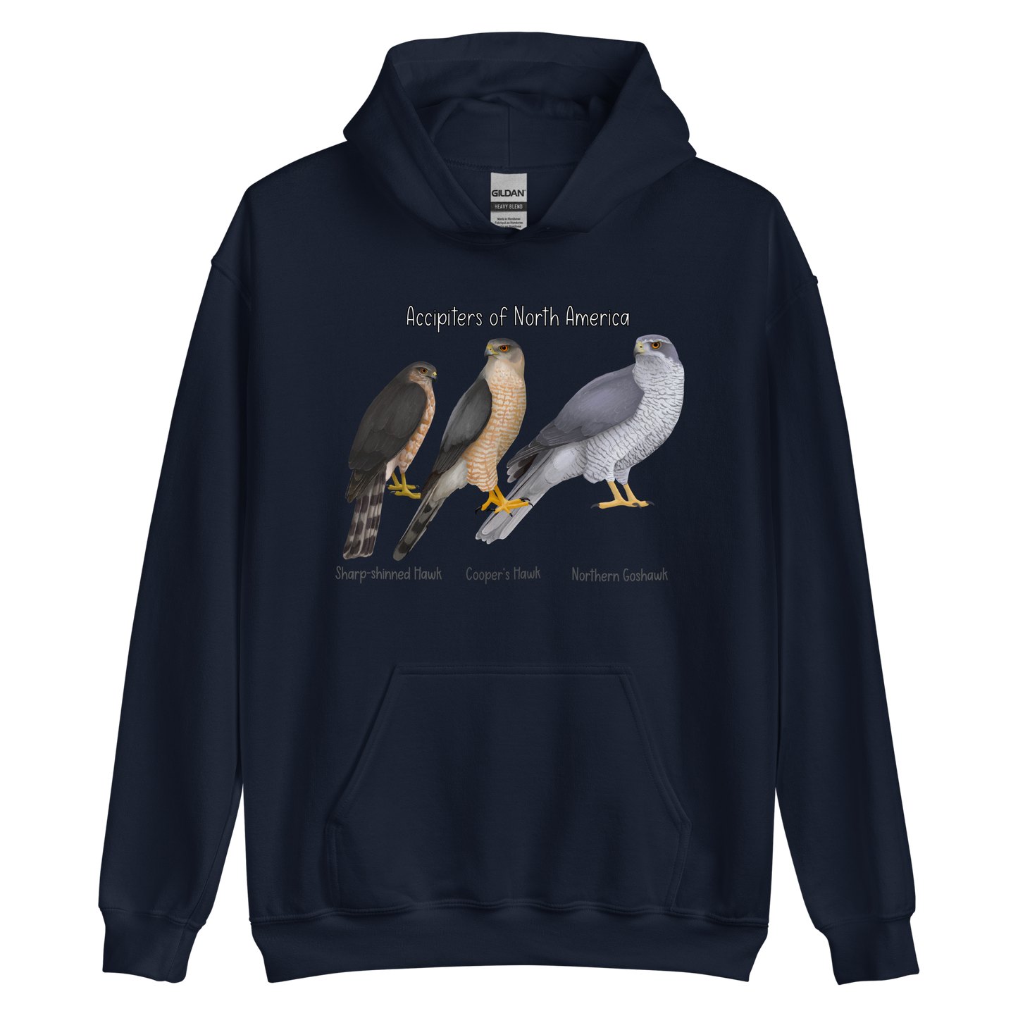 Accipiters of North America Hoodie