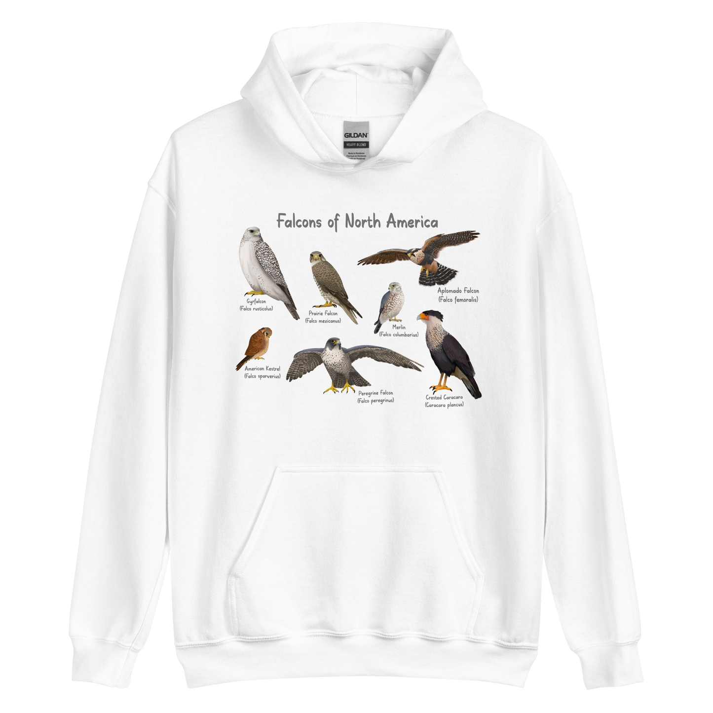 Falcons of North America Hoodie