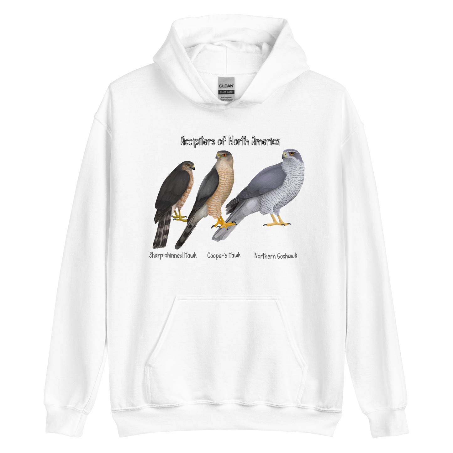 Accipiters of North America Hoodie