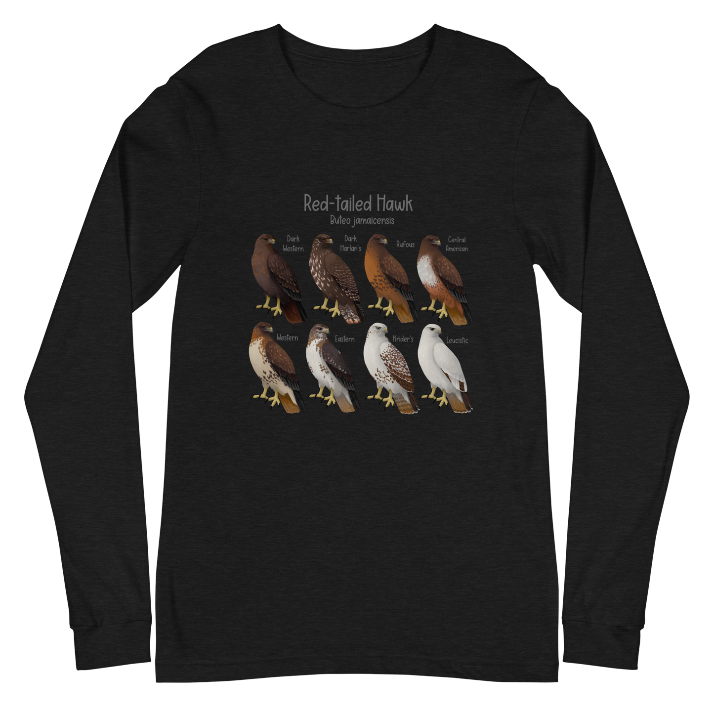 Red-Tailed Hawk Morphs Long Sleeve Tee