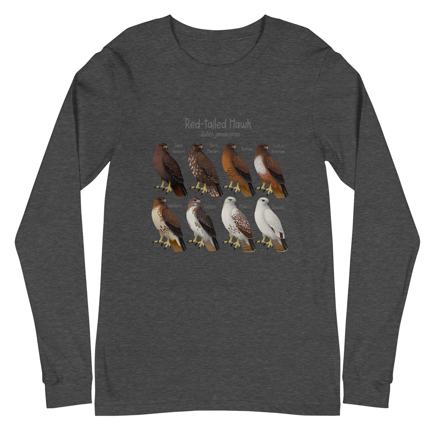 Red-Tailed Hawk Morphs Long Sleeve Tee