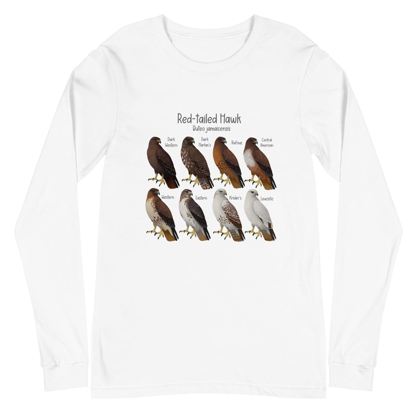 Red-Tailed Hawk Morphs Long Sleeve Tee