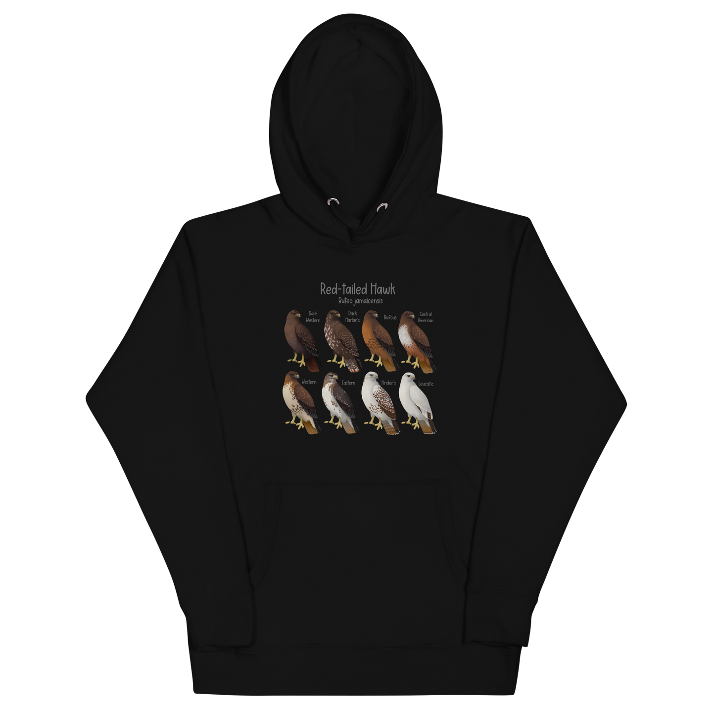 Red-Tailed Hawk Morphs Hoodie