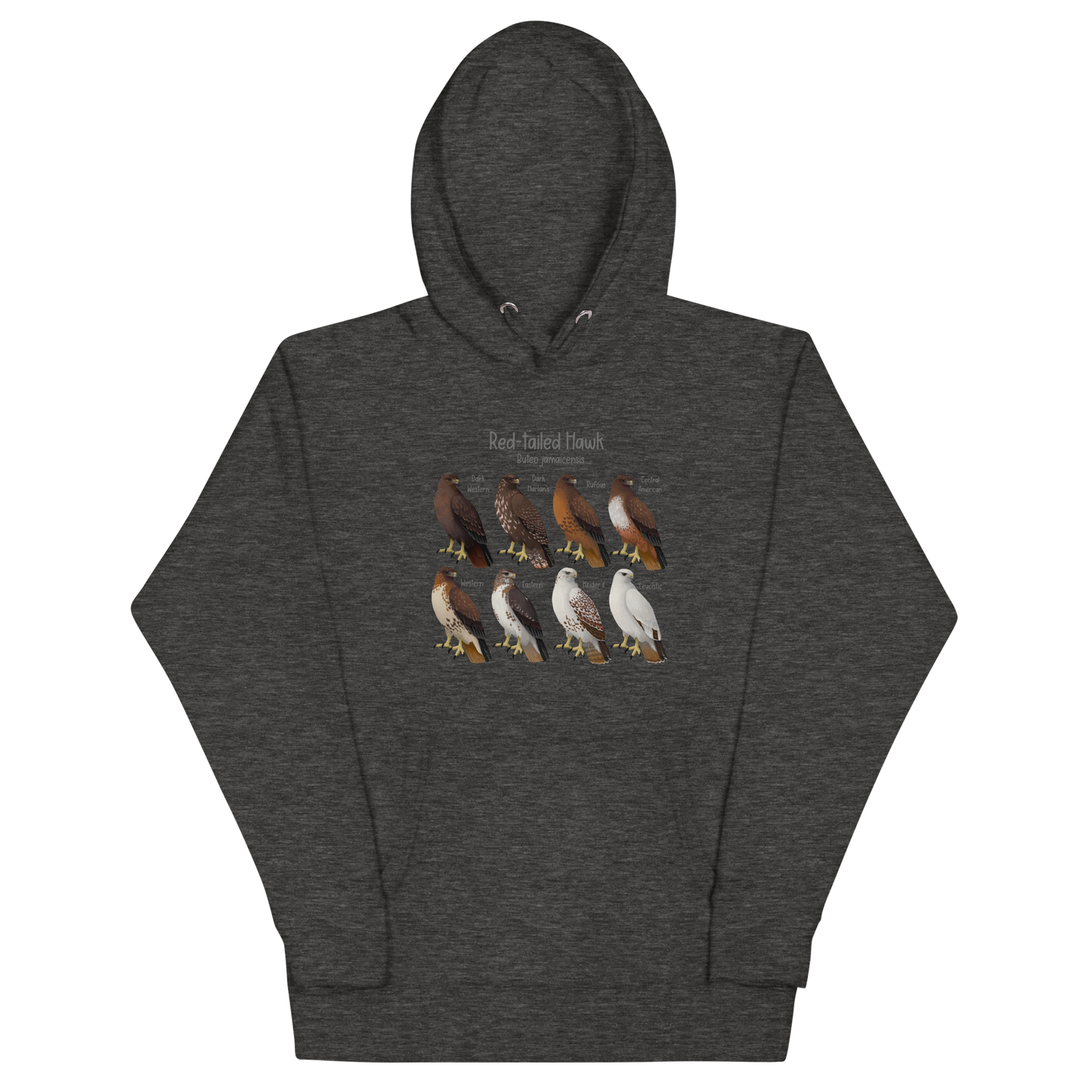 Red-Tailed Hawk Morphs Hoodie