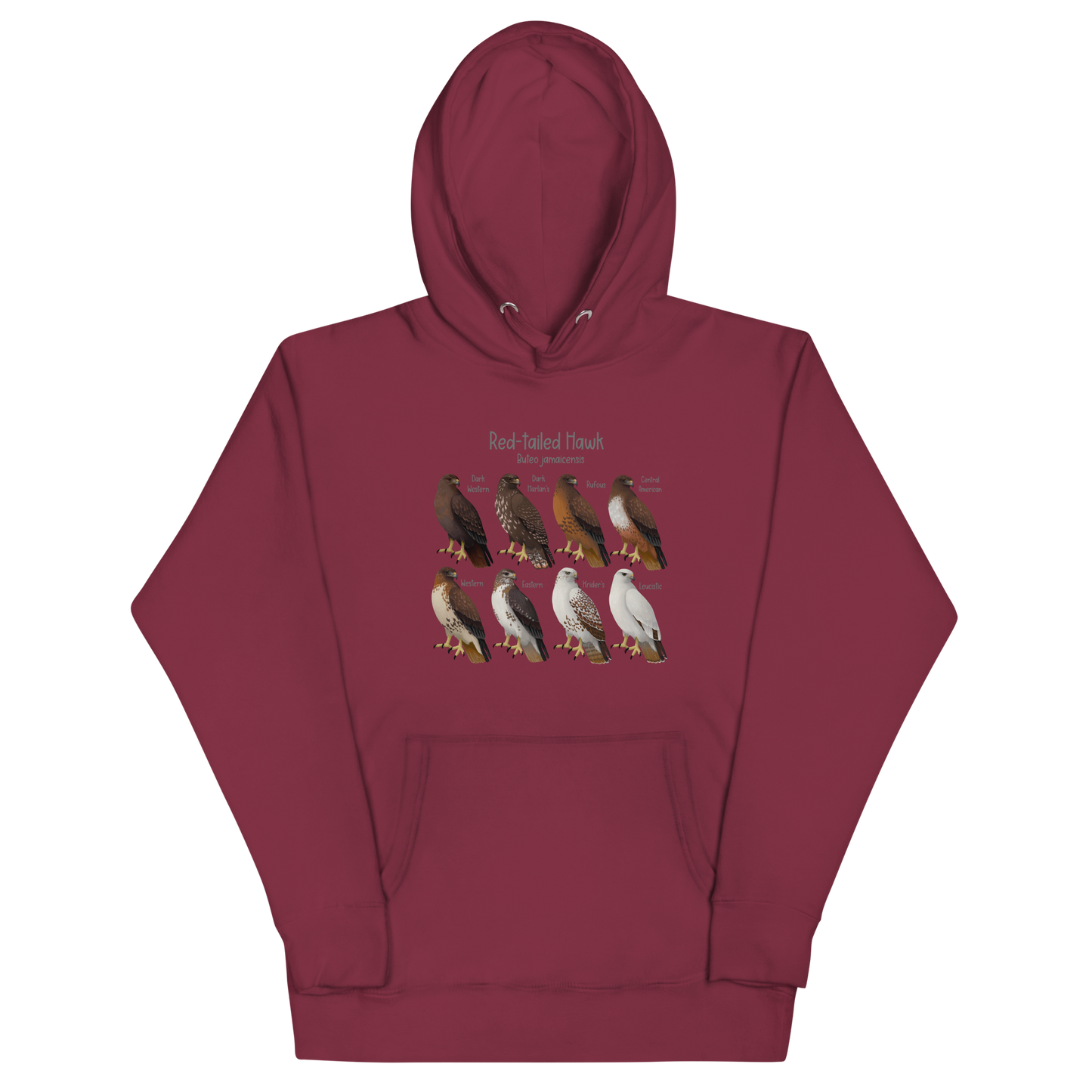 Red-Tailed Hawk Morphs Hoodie