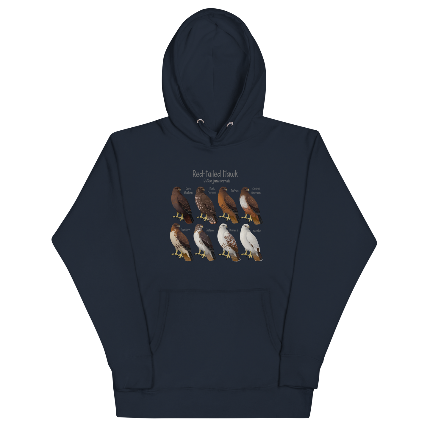 Red-Tailed Hawk Morphs Hoodie