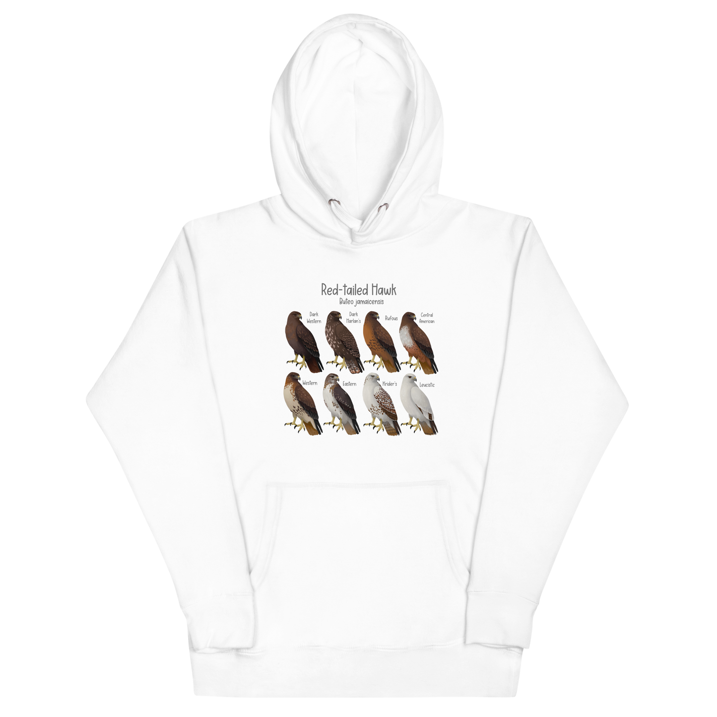 Red-Tailed Hawk Morphs Hoodie