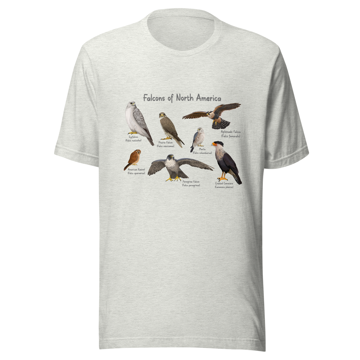 Falcons of North America Tee