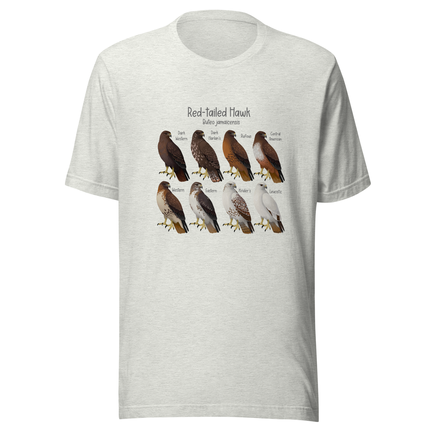 Red-tailed Hawk Morphs Tee