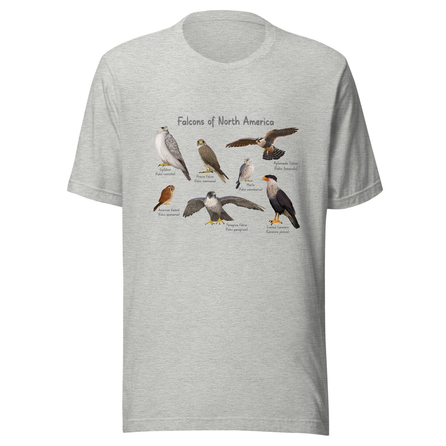 Falcons of North America Tee