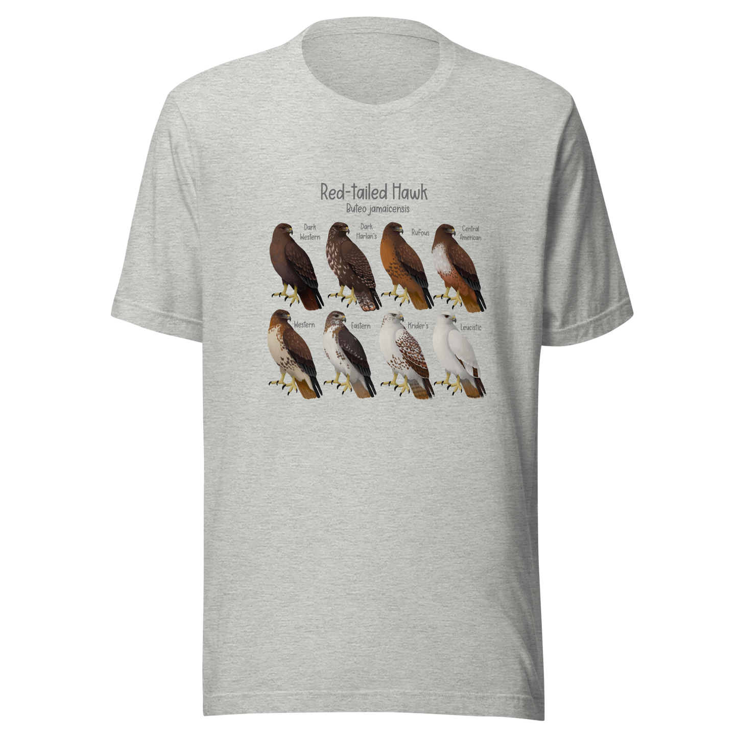 Red-tailed Hawk Morphs Tee